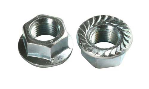 Hex Flange Nuts